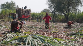 Inde : les villages sans utérus / RDC : le long chemin d’un salaire Trailer