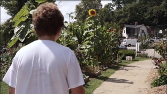 Indulge Trailer