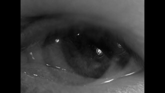 Ingmar Bergman's eye Trailer