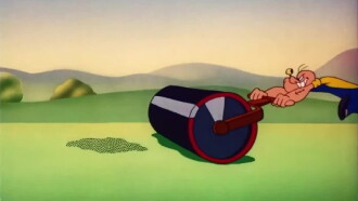 Insect to Injury Trailer