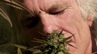 Inside: Medical Marijuana Trailer