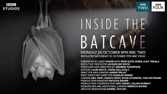 Inside the Bat Cave Trailer