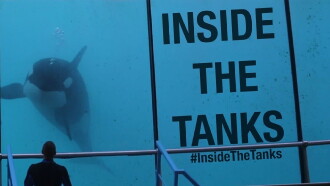 Inside the Tanks Trailer