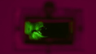 Instituto Zebechristha Trailer