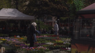 Interdependence Trailer