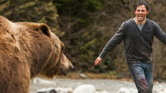 Into the Grizzly Maze Trailer