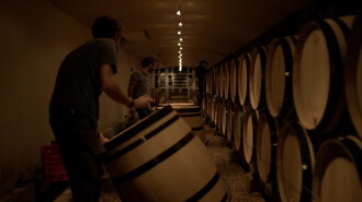 Into the Wine Trailer