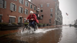 Inundation District Trailer