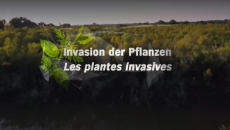 Invasion der Pflanzen - Gefahr für Umwelt und Mensch ? Trailer