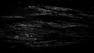 Irae Trailer