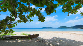 Iriomote Island Trailer