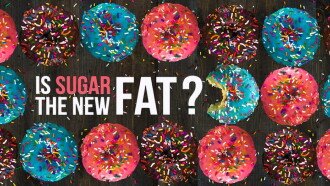Is Sugar the New Fat? Trailer