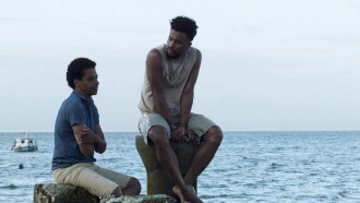 Island Trailer