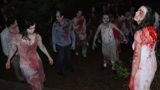 Island: Wedding of the Zombies Trailer
