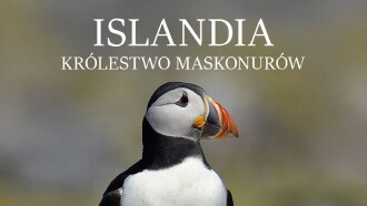 Islande, Le sanctuaire des macareux Trailer