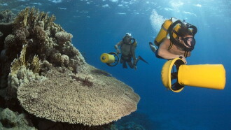Jacques Cousteau's Legacy – Return to the Undersea World Trailer