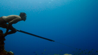 Jago: A Life Underwater Trailer