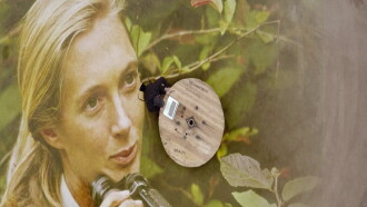 Jane Goodall : Comment sauver les animaux Trailer