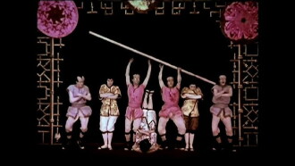 Japanese Butterflies Trailer
