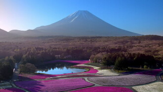 Japon, aux racines du soleil Trailer