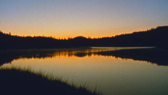Jasper Beach and The Salt Marsh Trailer