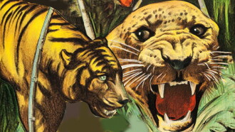 Jaws of the Jungle Trailer