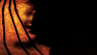 Jeepers Creepers 2 Trailer