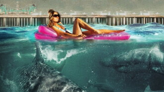 Jersey Shore Shark Attack Trailer