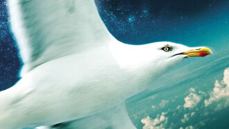 Jonathan Livingston Seagull Trailer