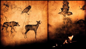 Jónsi: Go Live Trailer