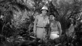 Jungle Hell Trailer