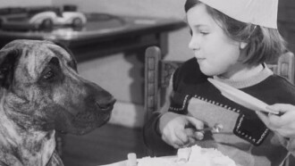 Juno Helps Out Trailer