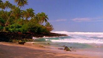 Just Relax Maui Trailer