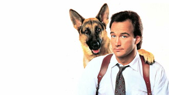 K-9 Trailer