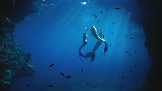 K3: The Song Of The Mermaid Trailer