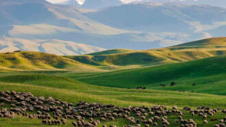 Kasachstan: Sterne, Steppe, Stutenmilch Trailer