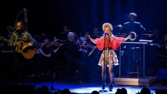 Kate Miller-Heidke + MSO Trailer