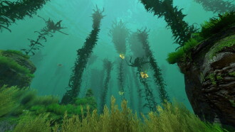 Kelp, une forêt sous la mer Trailer