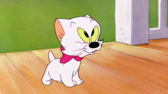 Kiddin' the Kitten Trailer