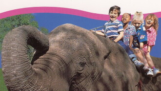 Kidsongs: A Day with the Animals Trailer