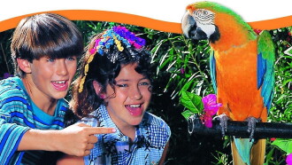 Kidsongs: If We Could Talk To The Animals Trailer
