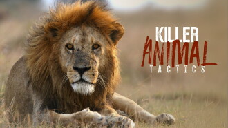 Killer Animal Tactics Trailer
