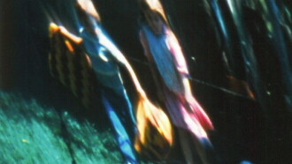 Kindering Trailer