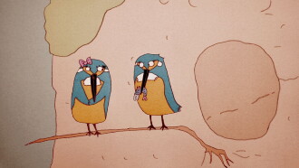 Kingfisher Trailer