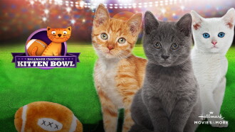 Kitten Bowl Trailer