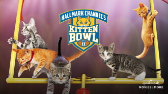 Kitten Bowl II Trailer