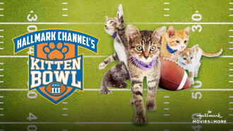 Kitten Bowl III Trailer