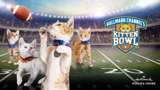 Kitten Bowl V Trailer