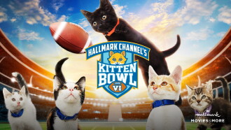 Kitten Bowl VI Trailer
