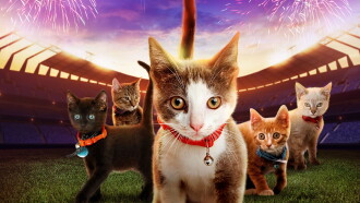 Kitten Bowl VII Trailer